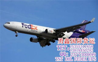 國際快遞取件,勇鑫國際貨運,武漢到葡萄牙國際快遞